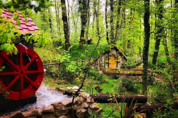 Günübirlik Sapanca Maşukiye Ormanya Turu